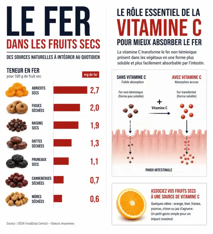 Infographie sur les fruits riches en fer et l'importance de la vitamine C pour l'absorption