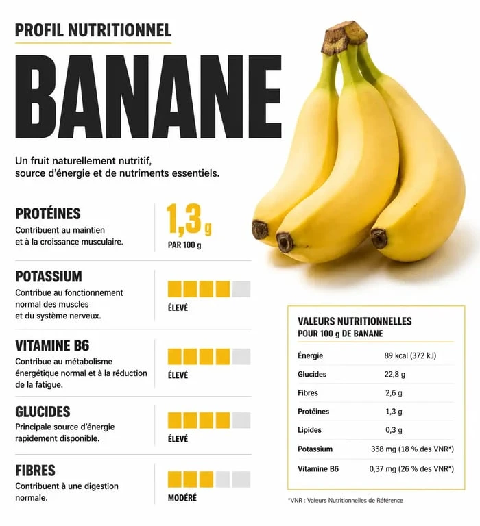 Infographie du profil nutritionnel de la banane : protéines, potassium et vitamines