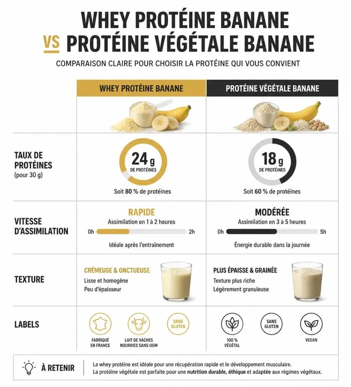 Infographie comparative des protéines banane : Whey vs Végétale pour choisir sa supplémentation sportive