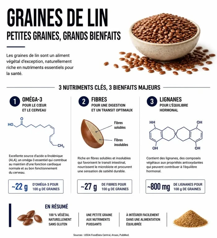 Infographie sur les bienfaits nutritionnels et la composition des graines de lin pour la santé