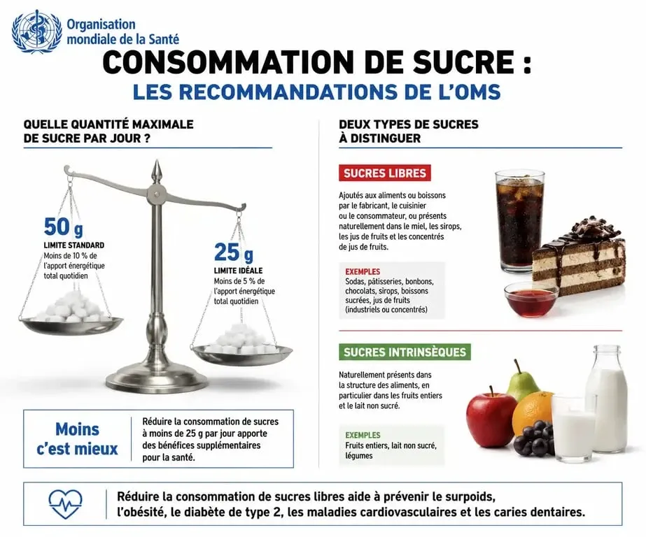 Infographie sur les recommandations de consommation de sucre par jour selon l'OMS