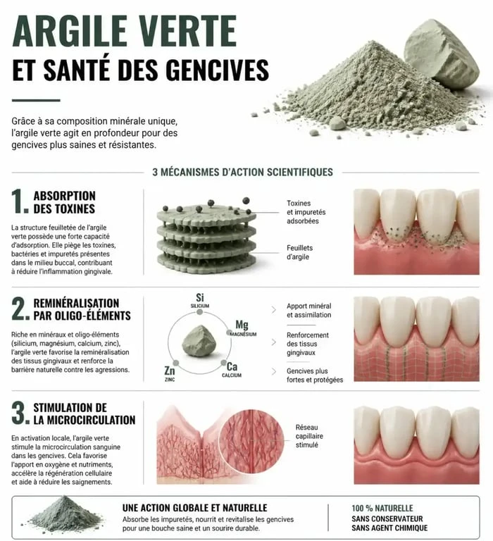 Infographie des bienfaits de l'argile verte et déchaussement des dents pour la santé bucco-dentaire