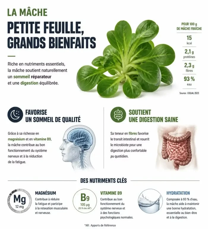 Infographie des bienfaits nutritionnels de la mâche pour manger de la mâche le soir