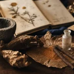 Costus indien bienfaits : racine et poudre pour digestion et respiration
